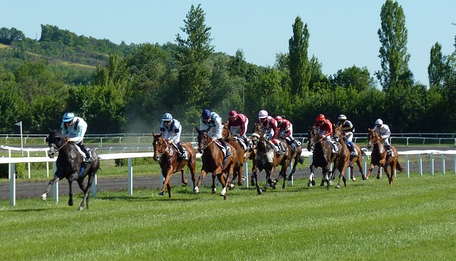 Photo by macayran Horse racing photo