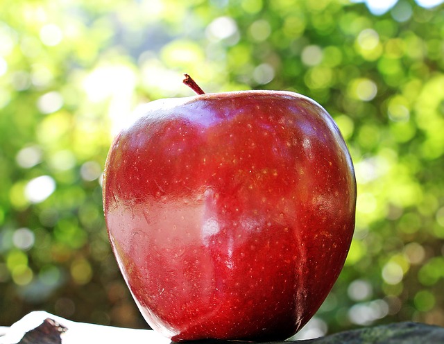 Photo by NoName_13 apple photo